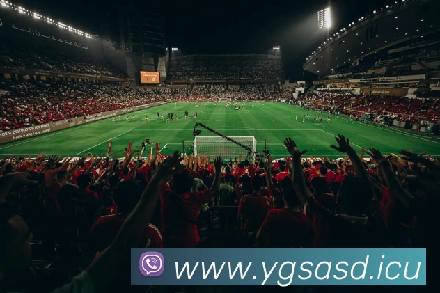 九游j9官网活动入口APP 高清赛事图